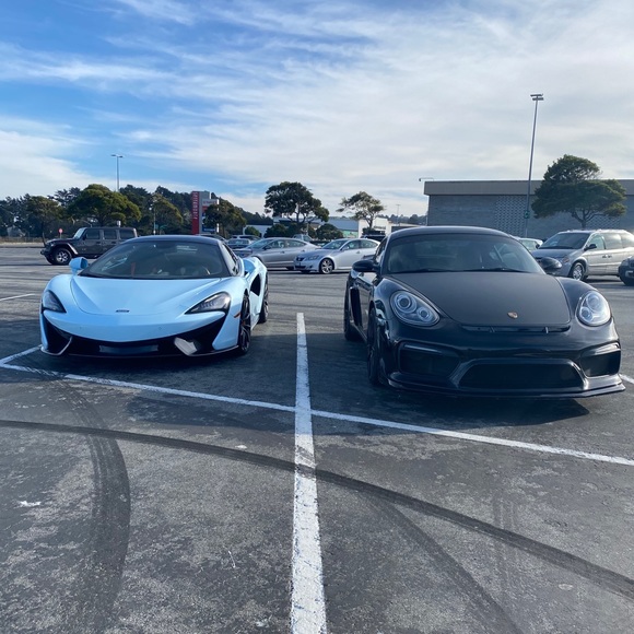 Meet your Posher, Leonardo - Picture 1 of 1